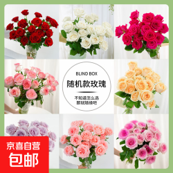京东 精选玫瑰花-花匠铺无土栽培40-45CM随机色玫瑰花10枝基地直发 无土随机色玫瑰10枝 40