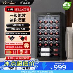 芭克斯 红酒柜金属层恒温柜家用客厅YC-86