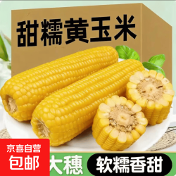 正宗东北 黄糯玉米 120g-160g*2支 真空装