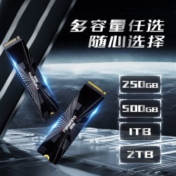 梵想 SP510m2接口固态硬盘1t台式电脑笔记本固态硬盘pcie3.0