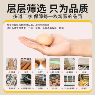 逗别三日 可生食富硒无抗鲜鸡蛋