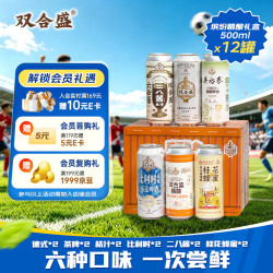 双合盛 百年 啤酒礼盒