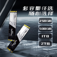 梵想 SP610SEm2固态硬盘500g1t台式电脑笔记本pcie4.0固态硬盘nvme