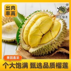 KBIN 泰国A级果金枕榴莲5-6斤 保四房保35%出肉率