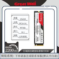 长城 256GB长城CH30 m2固态硬盘PCIe3台式机笔记本电脑高速SSD