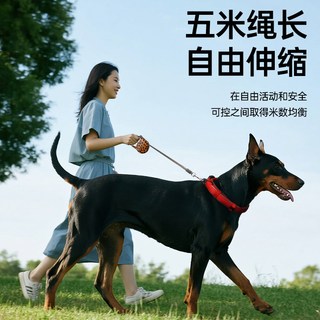 多尼斯 自动伸缩牵引绳 小型犬 宠物遛狗绳