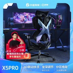 骁骑 X5pro 人体工学电脑椅 6D仿生扶手 透气网椅