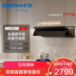 老板 顶侧一体 大吸力 L系列油烟机CXW-260-65X7-L1
