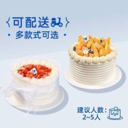 6英寸-冰淇淋生日蛋糕/水果生日蛋糕