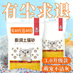 雅礼颂 猫砂去味强效除臭精品膨润土砂颗粒近无粉尘除细菌大袋60斤装