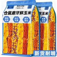 雅礼颂 小玉米仓鼠零食磨牙棒金丝熊荷兰猪龙猫豚鼠兔子磨牙营养粮食造景