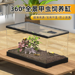 最萌 ZUIMENG/最萌爬虫甲虫亚克力饲养箱锹甲昆虫独角仙造景透明饲养盒