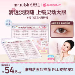 MR.WISH 淡颜自然原野樱素颜睫新手假睫毛