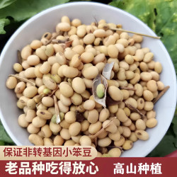 老品种笨黄豆 非转基因 恩施土黄豆 椭圆小黄豆 散装大豆浆 做豆腐豆芽