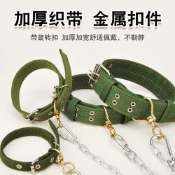 狗链子狗项圈中大小型犬宠物用品拴狗的铁链拴狗绳脖套狗狗牵引绳