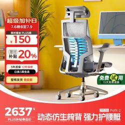 Ergonor 智能 人体工学椅 联动扶手  银白美国网(云感科技座垫) 转椅