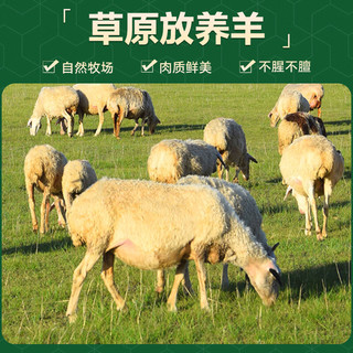 绿之邦 内蒙古羊蝎子 3斤 冷冻生鲜羊肉