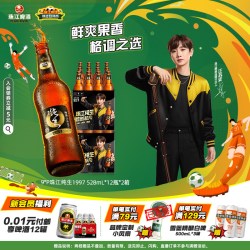 珠江啤酒 1997纯生528mL*12瓶*2整箱批发玻璃瓶生啤酒官方旗舰店