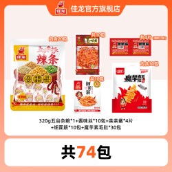 佳龙 爆款辣条组合 1010g 74包