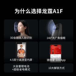 龙霆 A1F 3D人脸识别 智能门锁