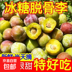 云南半边红李子带箱 2 斤中果（15-20g）