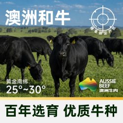 澳贝美 猫超臻选澳洲和牛M5原切上脑牛排澳贝美雪花牛排牛肉烤肉食材