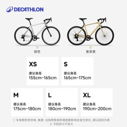 迪卡侬 RC100升级版公路自行车 酷感银  带脚撑