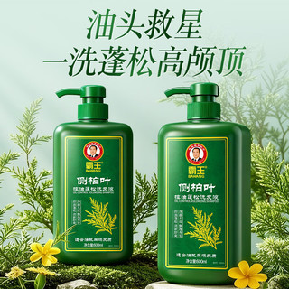 霸王侧柏叶控油蓬松洗发水 600ml*2