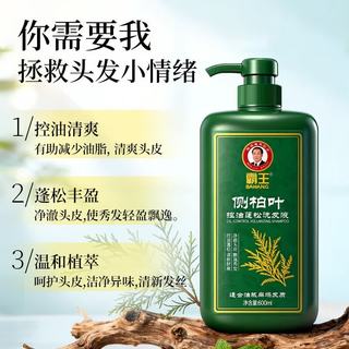 霸王侧柏叶控油蓬松洗发水 600ml*2