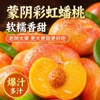 亲佳美 正宗山东蒙阴彩虹油蟠桃 4.5斤