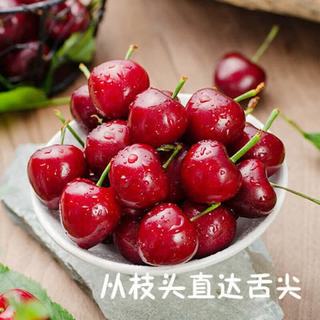 果乐族 山东烟台大樱桃 J级 3斤 礼盒装