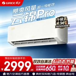 格力 空调 云佳pro/天仪pro/云锦等系列 大1匹 新一级能效 大1匹 云锦Pro