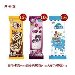 伊利 臻巧雪糕巧克力牧场奶提子冰淇淋 40支 包邮