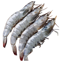 行梦牧场 厄瓜多尔白虾 12-15cm 3斤(净重) 盐冻对虾
