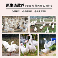 缤鲜 生鹅蛋 120-150g*6枚