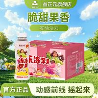 益正元 新品冻冻果汁饮料风味网红果味饮料 冻冻苹果420ml*15瓶