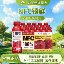 益正元 100%NFC鲜榨混合果汁饮料无添加0添加杨梅 杨梅300ml*15瓶