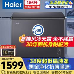 海尔 166升家用冰柜风冷无霜零下38度超低温保鲜一级能效速冻冷柜冰箱BC/BD-166WGHESM