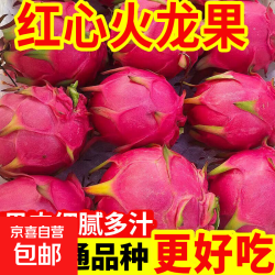 云南红心火龙果 5斤单果200g+