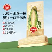 三胖蛋 甜过初恋!7A甜糯玉米 228g 白甜糯+水果玉米 粗粮首选