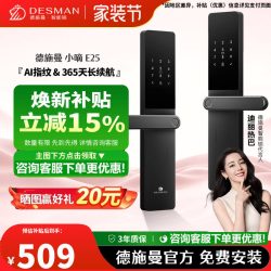 德施曼 DESSMANN 德施曼 E25 指纹密码锁 钣金材质 黑色