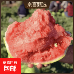 京喜 安徽 无籽美都麒麟瓜 5-6斤 带箱