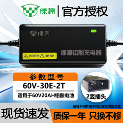 绿源 60V-30E-2T 电动车充电器