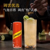 调饮百搭、今日必买、88VIP：可口可乐 怡泉饮料干姜水汽水 330ml*24罐
