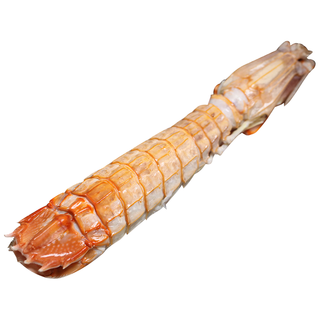 贝鲜猫 全母全膏熟冻皮皮虾 1000g 3-4只