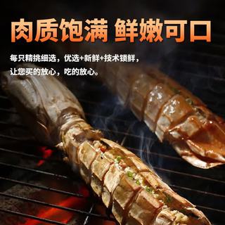 贝鲜猫 全母全膏熟冻皮皮虾 1000g 3-4只