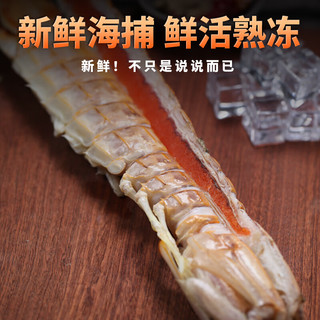 贝鲜猫 全母全膏熟冻皮皮虾 1000g 3-4只