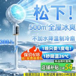 Niye 电风扇超静音一级能效风扇制冷空调扇落地扇空气循环扇家用日本