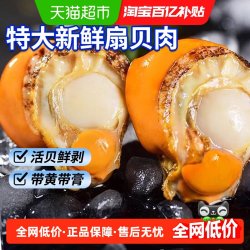 无品牌 山东青岛 扇贝肉 375g/袋 冷冻