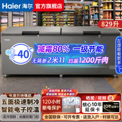海尔 冰柜家用大容量全冷冻冷藏转换能效节能省电单温卧式冷柜大型零下水产海鲜